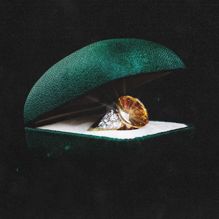 engagement ring boxes engagement ring boxes